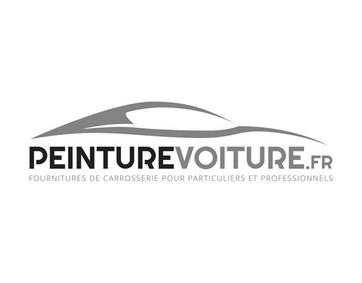 logo-peinture voiture logo-peinture voiture
